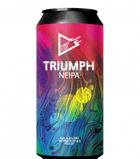 Funky Fluid Triumph CANS 50cl - Beergium