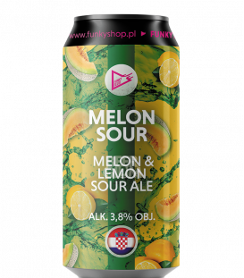 EUROBOX Croatia - Funky Fluid Melon Sour CANS 50cl - Beergium