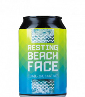 Ice Breaker Resting Beach Face CANS 33cl - Beergium