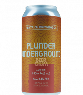 Pentrich Plunder Underground CANS 44cl BBF 01-02-22 - Beergium