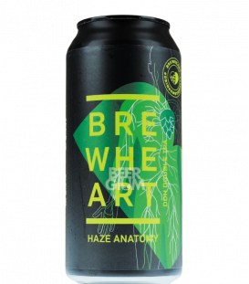 BrewHeart Haze Anatomy CANS 44cl - Beergium