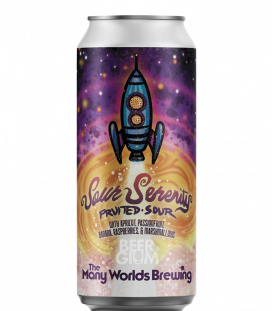 The Many Worlds Sour Serenity CANS 44cl - BBF 10-09-2022 - Beergium