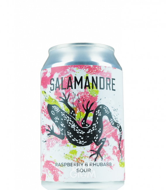 La Source Salamandre CANS 33cl