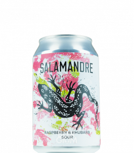 La Source Salamandre CANS 33cl - Beergium