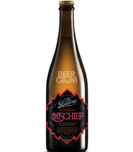 The Bruery Mischief 75cl - Beergium