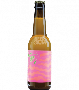 Omnipollo Arzachel 33cl - Beergium