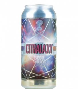 Burley Oak Citralaxy CANS 47cl - Beergium