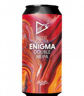 Funky Fluid Enigma CANS 50cl - Beergium