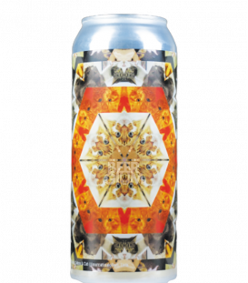 Hop Hooligans Catleidoscope 2 CANS 50cl - BBF 29-07-2021 - Beergium