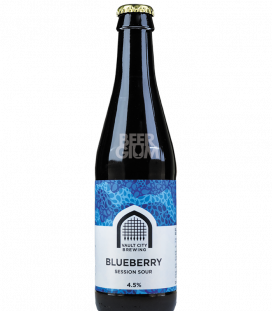 Vault City Blueberry Session Sour 33cl - Beergium